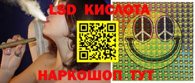 амф Новодвинск