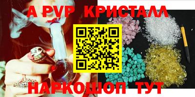 СК Новозыбков