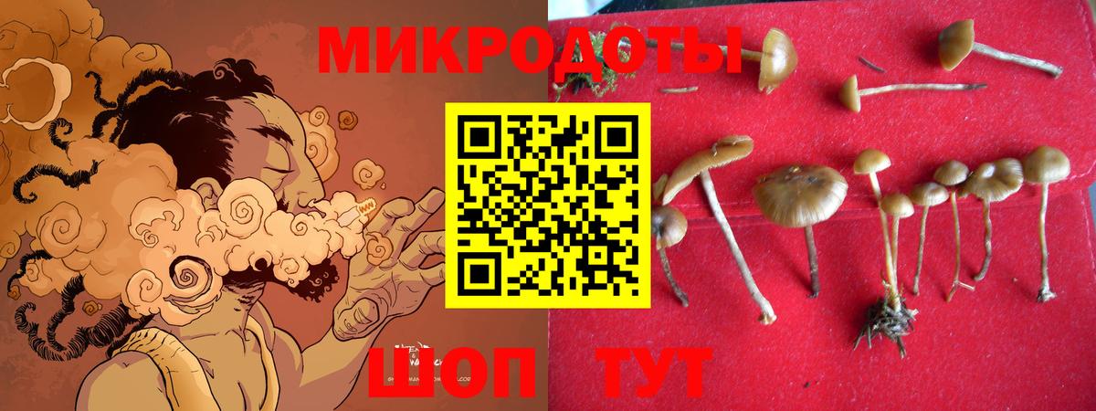 Псилоцибиновые грибы Psilocybe  Псилоцибиновые грибы прущие грибы  Шелехов  Вход с VPN 